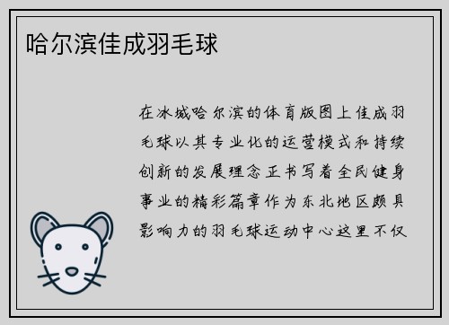 哈尔滨佳成羽毛球